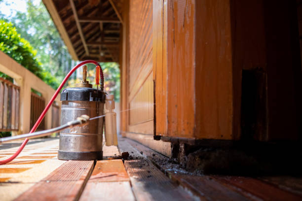 Best Termite Control Services  in Brookmont, MD