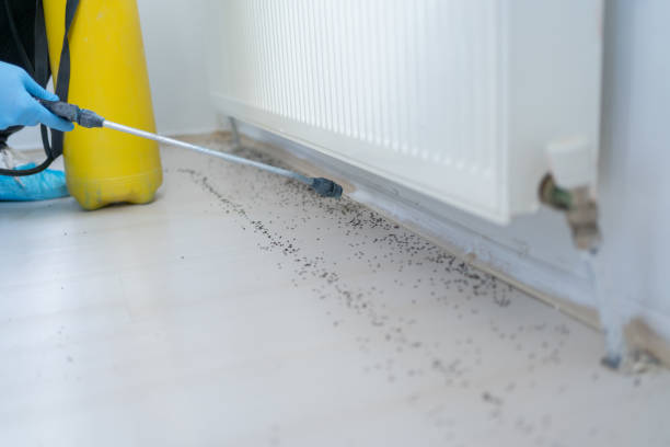 Best Pest Control for Businesses  in Brookmont, MD